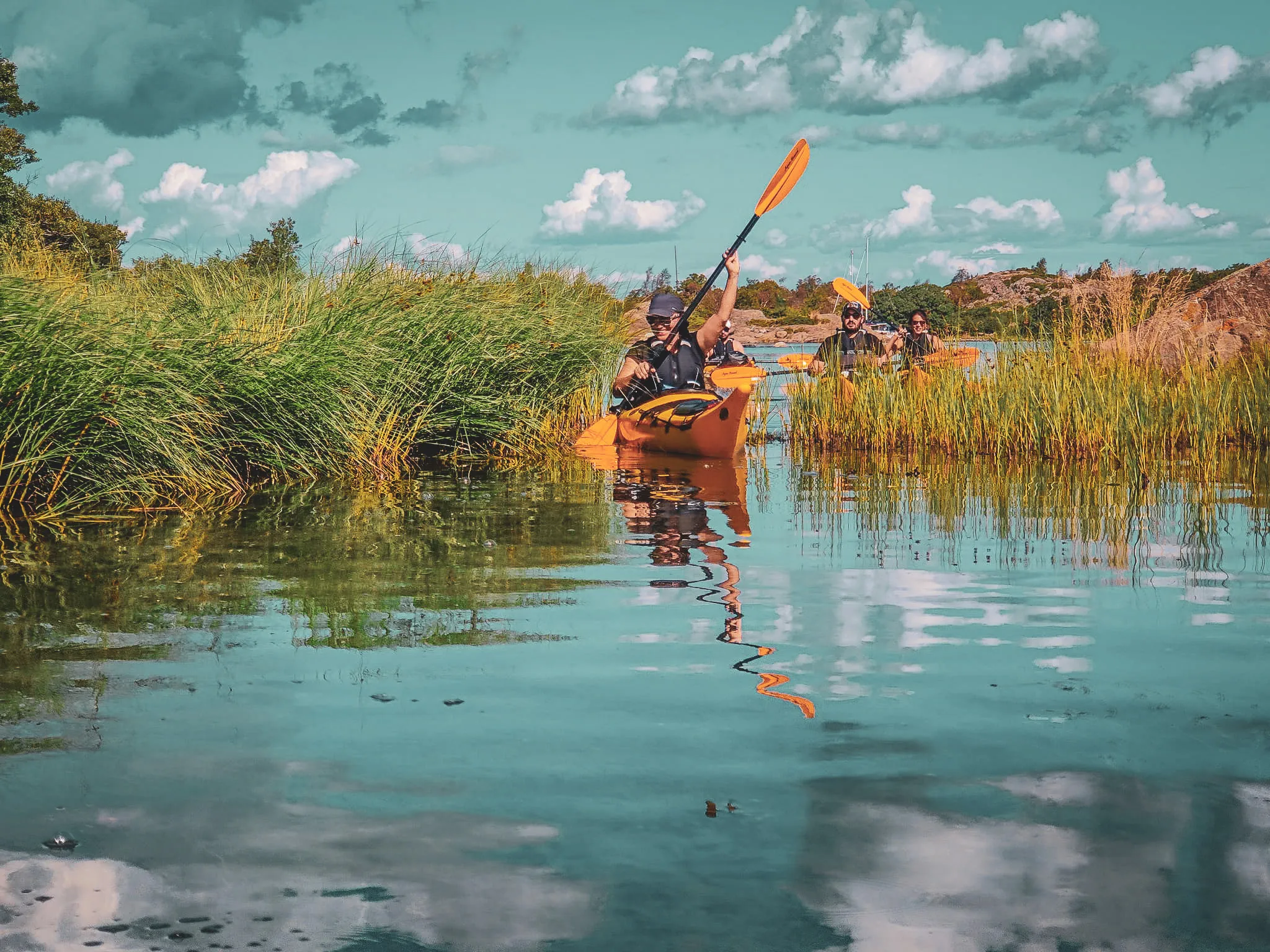Kayakers paddled peacefully in the Stockholm archipelago, surrounded by lush green countryside.