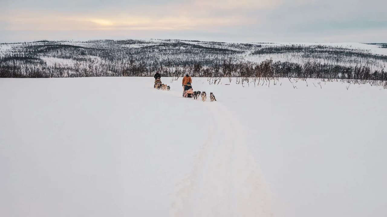 Conduite d'un attelage de huskys sur des plaines enneigées sous un ciel pastel.