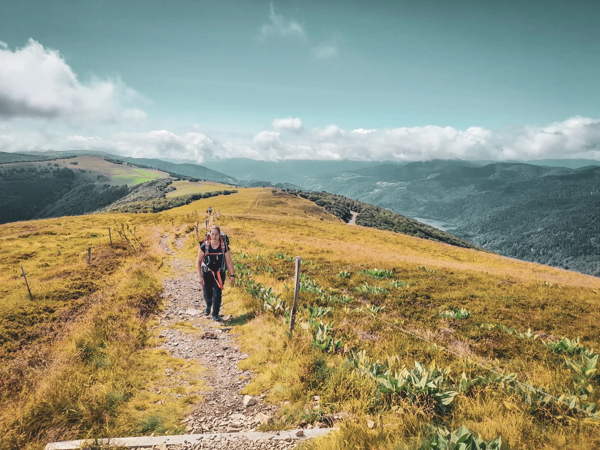 Randonneuse sur un chemin ensoleillé, entourée de panoramas époustouflants dans les Vosges.