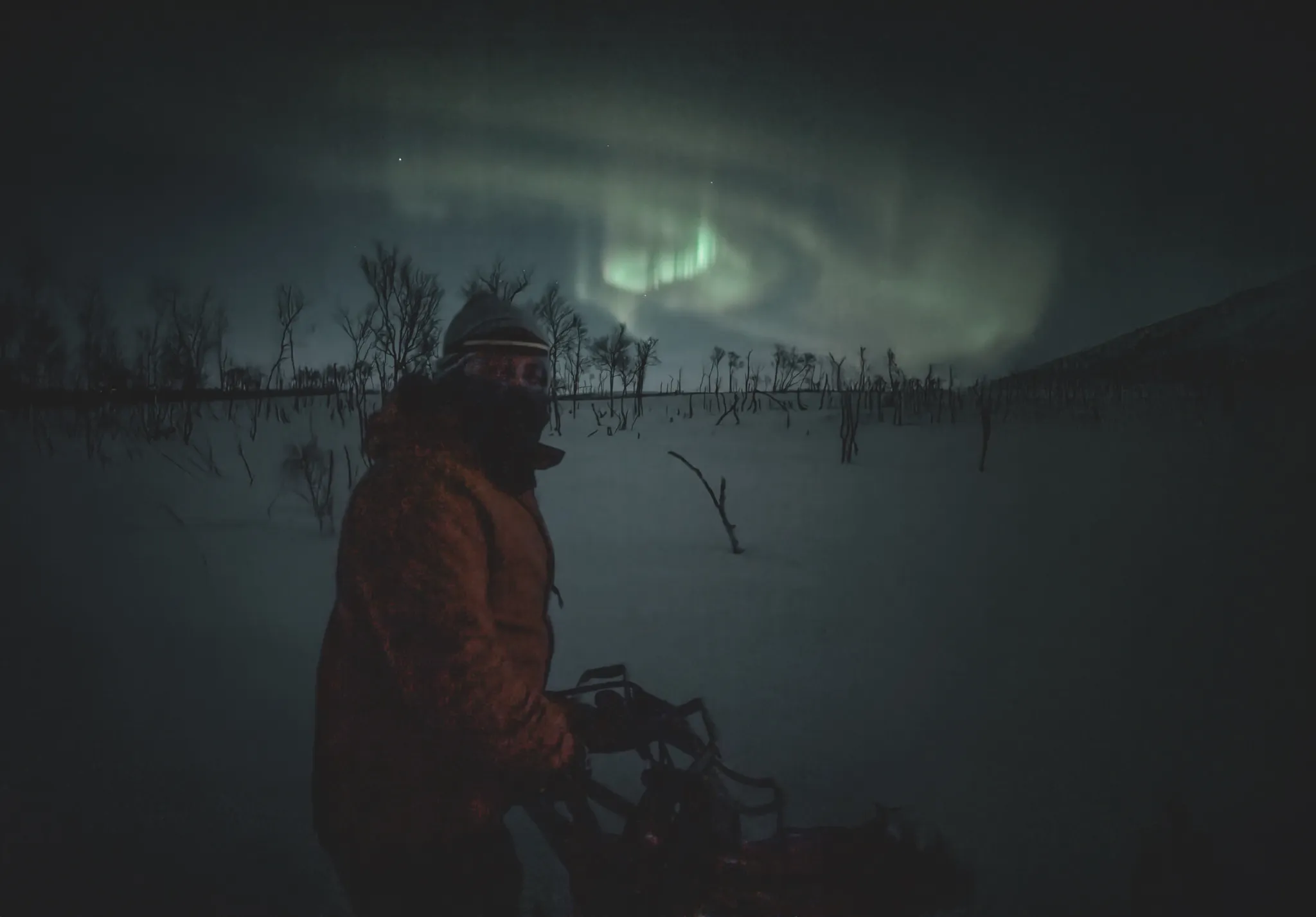 A musher under the northern lights, surrounded by snow and lunar landscapes in Norwegian Lapland.