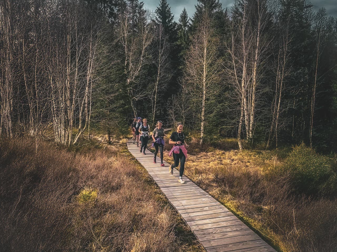 A group of runners on a wooded path, under a cloudy sky, in the heart of the Vosges mountains.