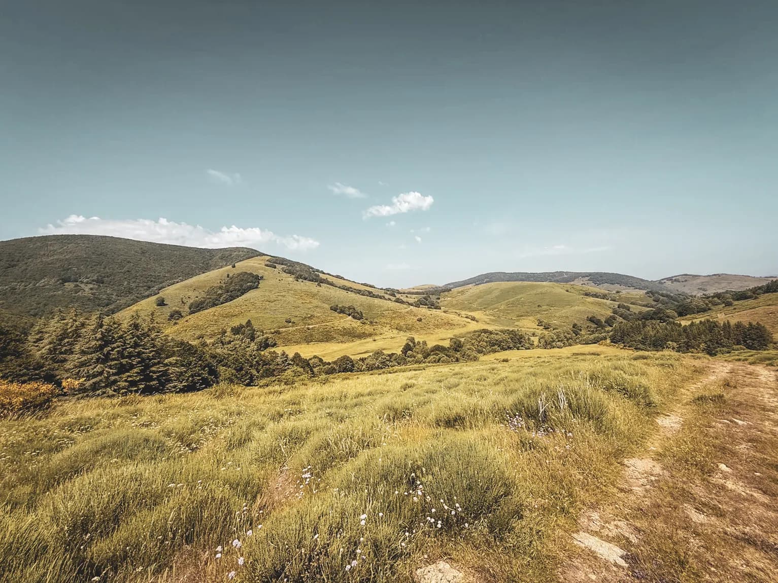 Het groene landschap van de Cevennen, glooiende heuvels onder een blauwe hemel, een uitnodiging tot avontuur.