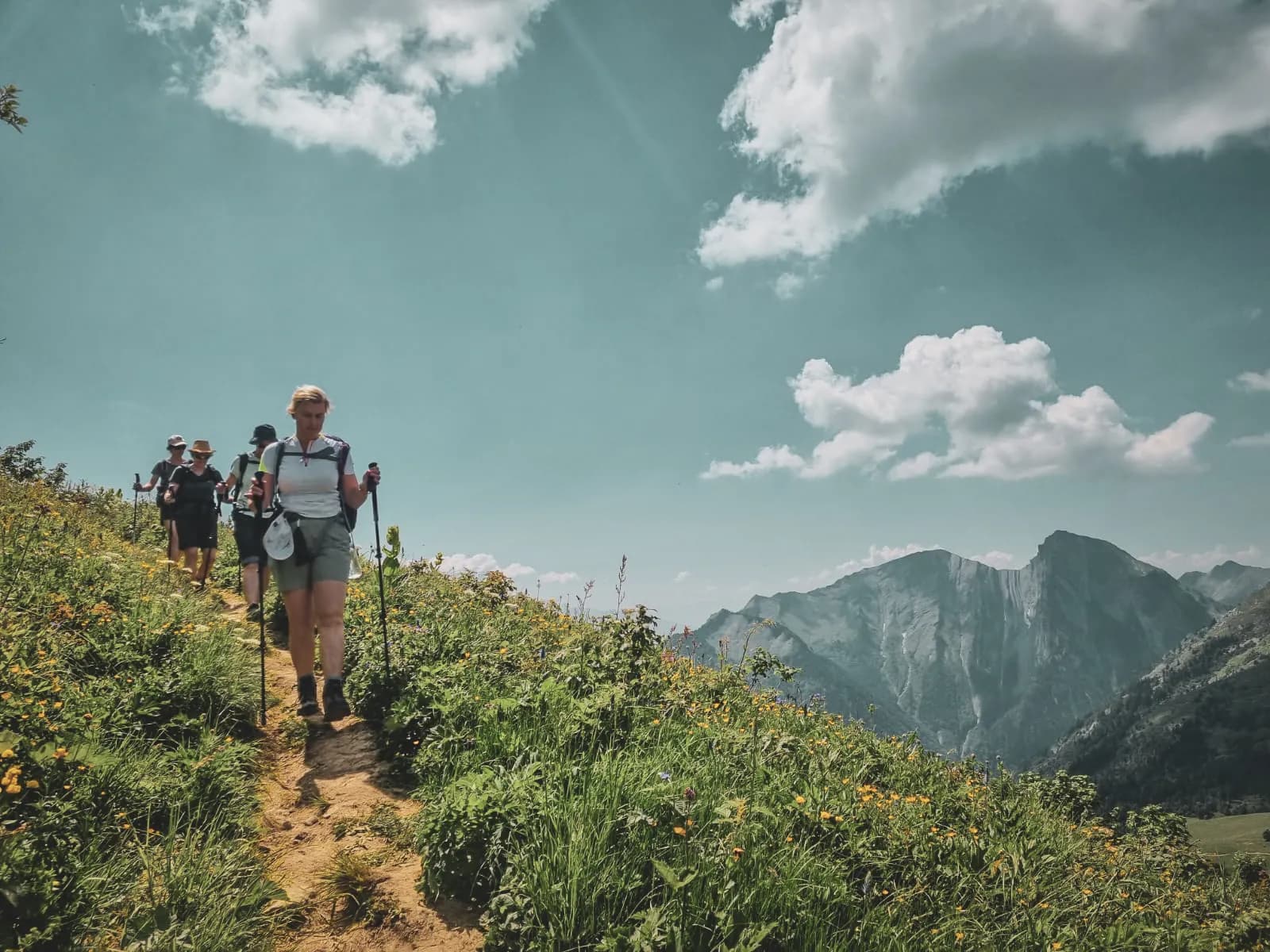 A group of hikers on a flowery path, with majestic mountains in the background.