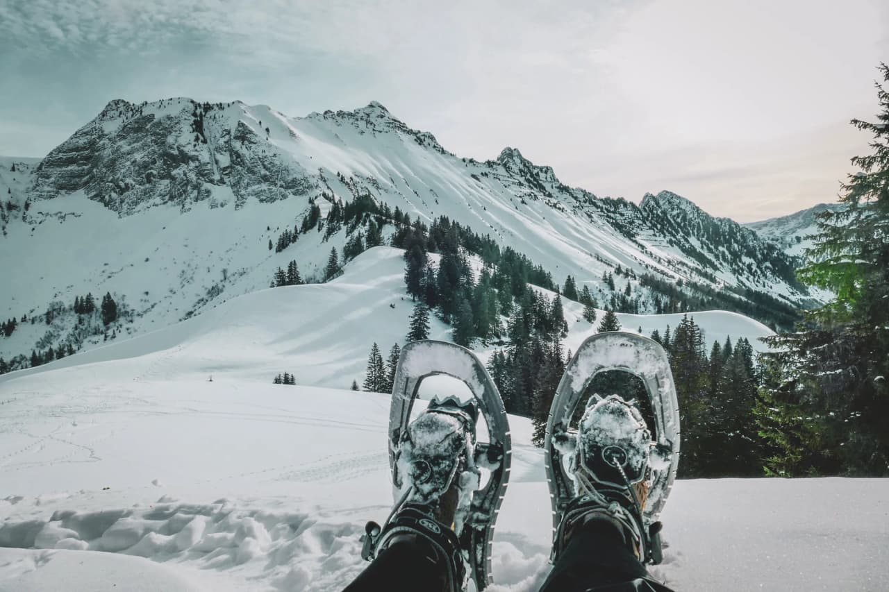 Pieds en raquettes sur un paysage alpin enneigé, avec montagnes majestueuses et forêts.