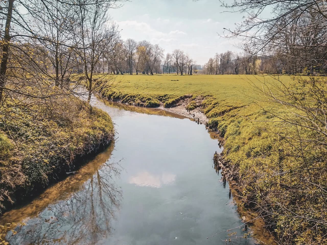Lake in a forest landscape