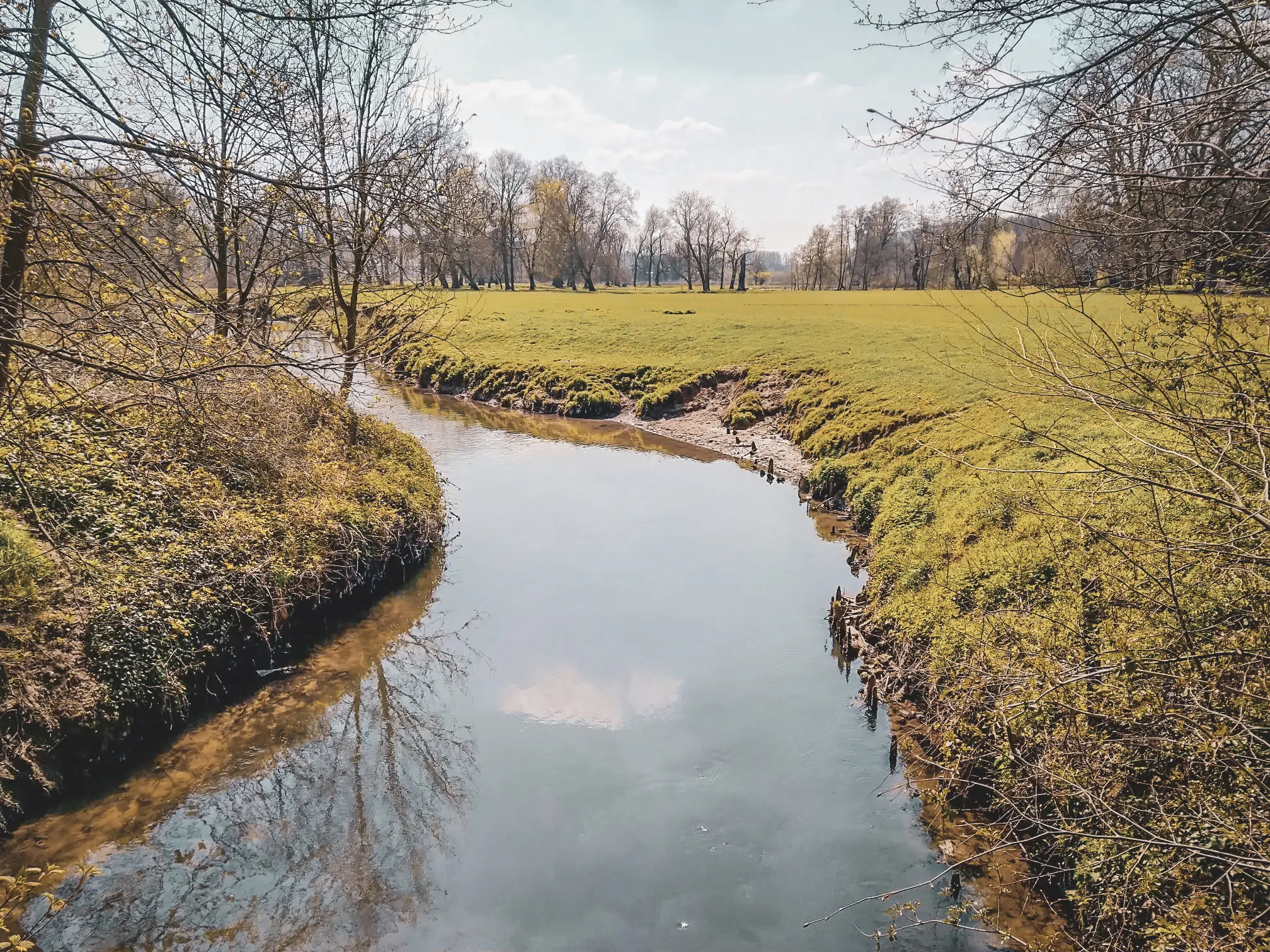 Lac dans un paysage de forêt