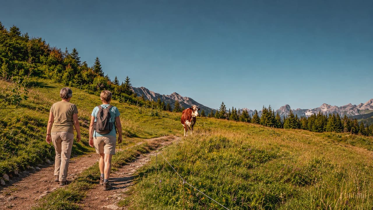 Deux randonneuses cheminent sur un sentier alpin, entourées de paysages verdoyants et de montagnes majestueuses.