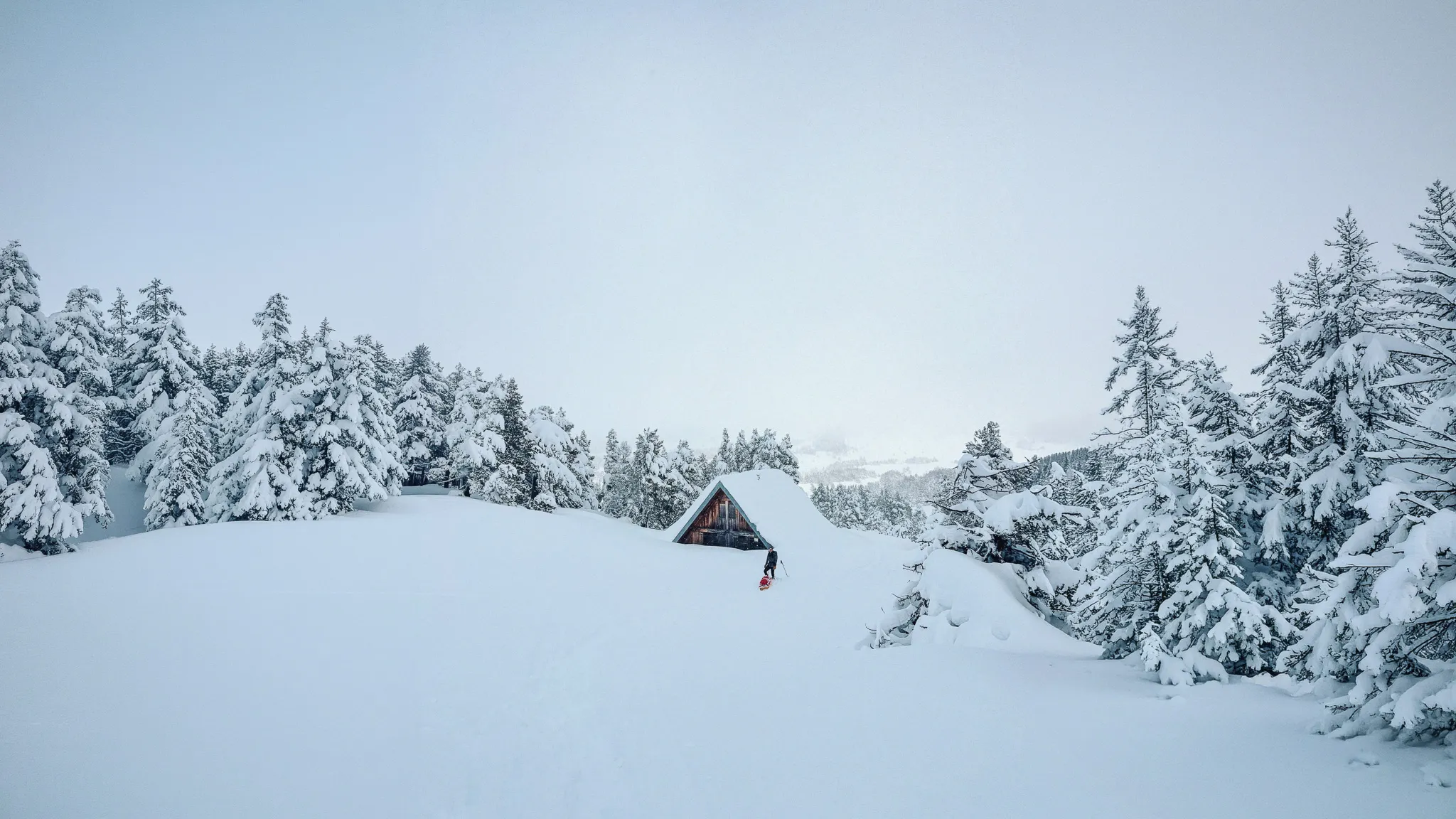 Un paysage enchanteur enneigé, avec une cabane sous les arbres, invitant à l'aventure en Vercors.