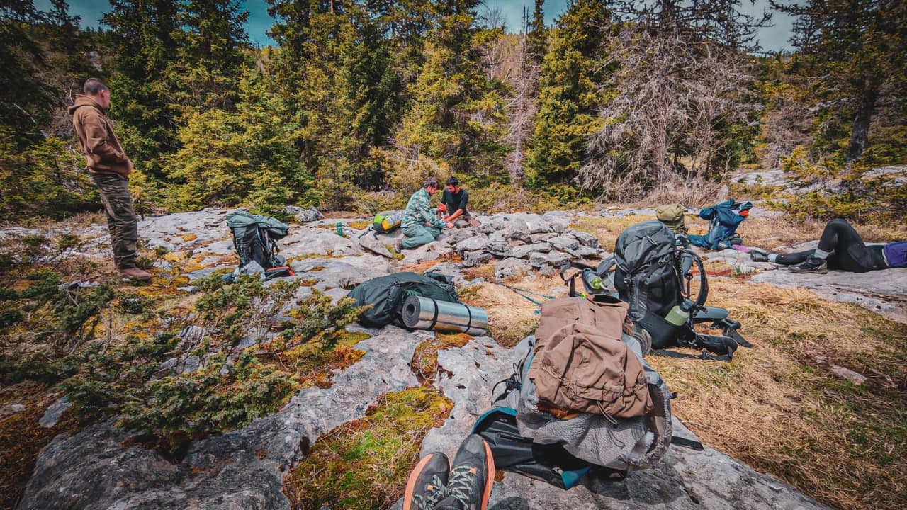 Groupe de personnes apprenant à survivre en pleine nature, entouré de forêts verdoyantes.
