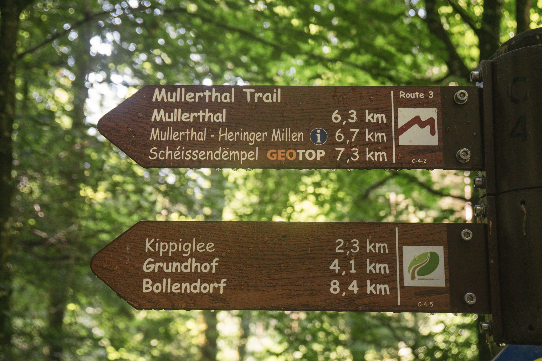 Panneau de randonnée en bois, indiquant les sentiers enchanteurs de la Petite Suisse luxembourgeoise.
