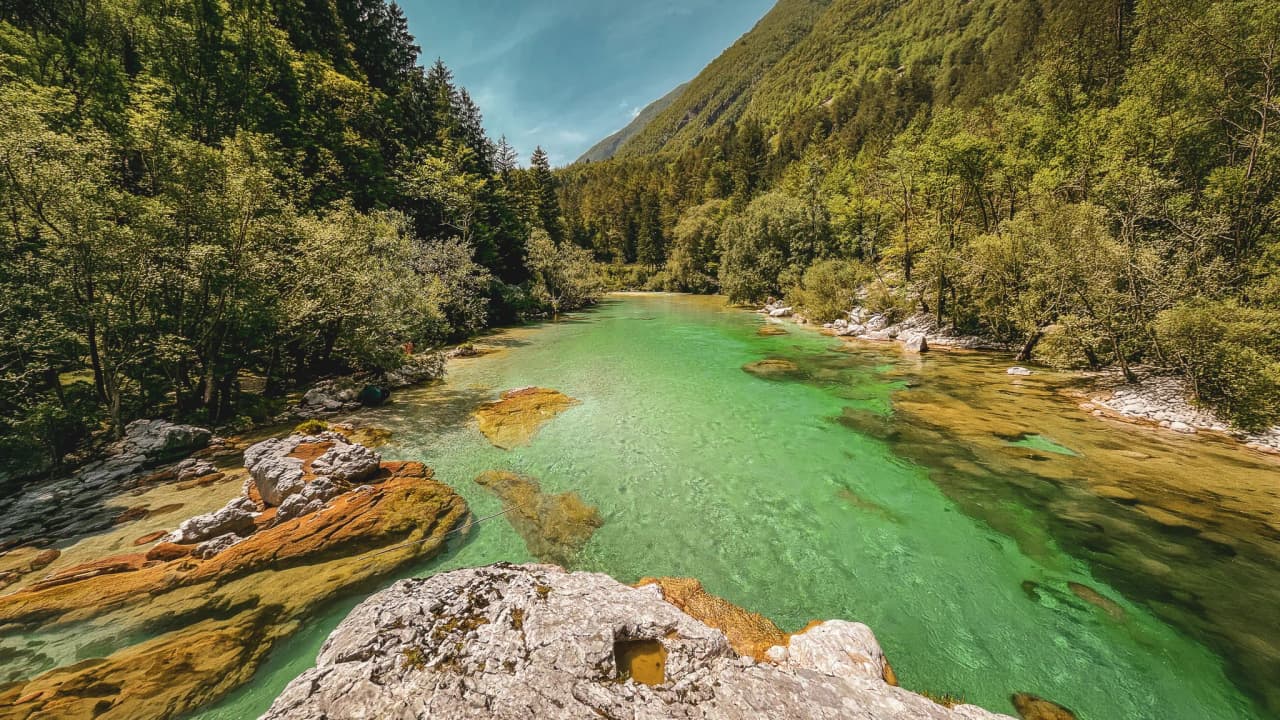 A crystal-clear river surrounded by greenery, ideal for outdoor adventures in Slovenia.