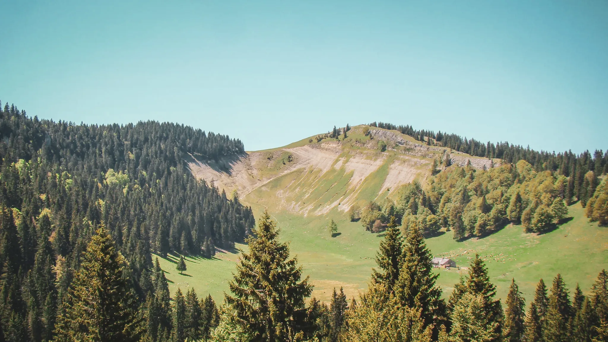 A green panorama of the Jura, with its verdant forests and sun-drenched hills. Perfect for adventure!