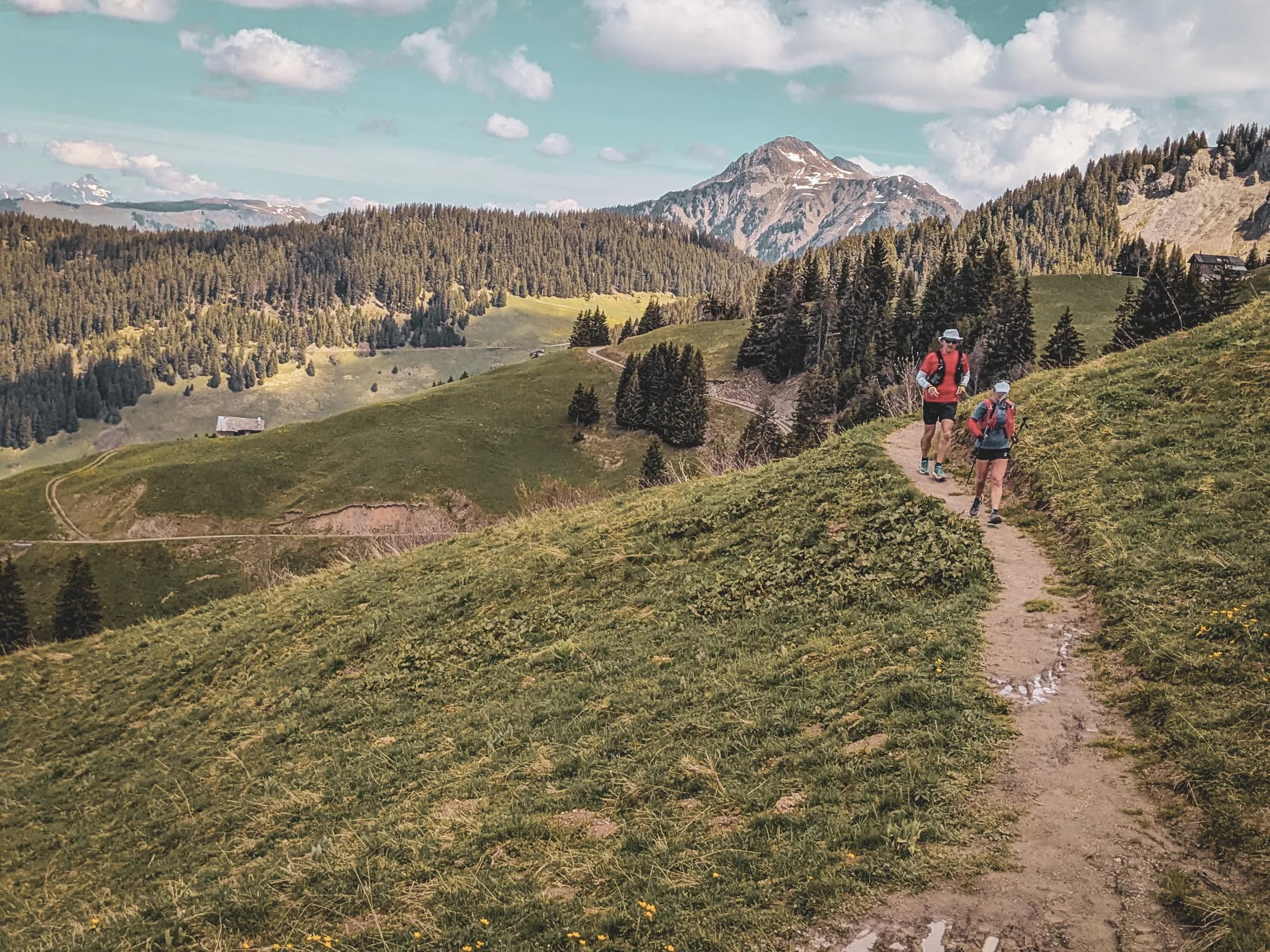 Een schilderachtige wandeling in de Beaufortain, met weelderig groene bergweiden en majestueuze bergtoppen.