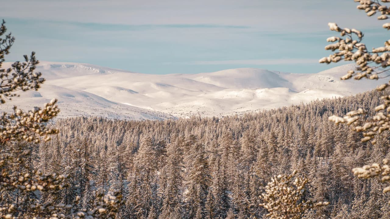 Snow-covered landscapes of Swedish Lapland, with coniferous forests and mountains in the background.