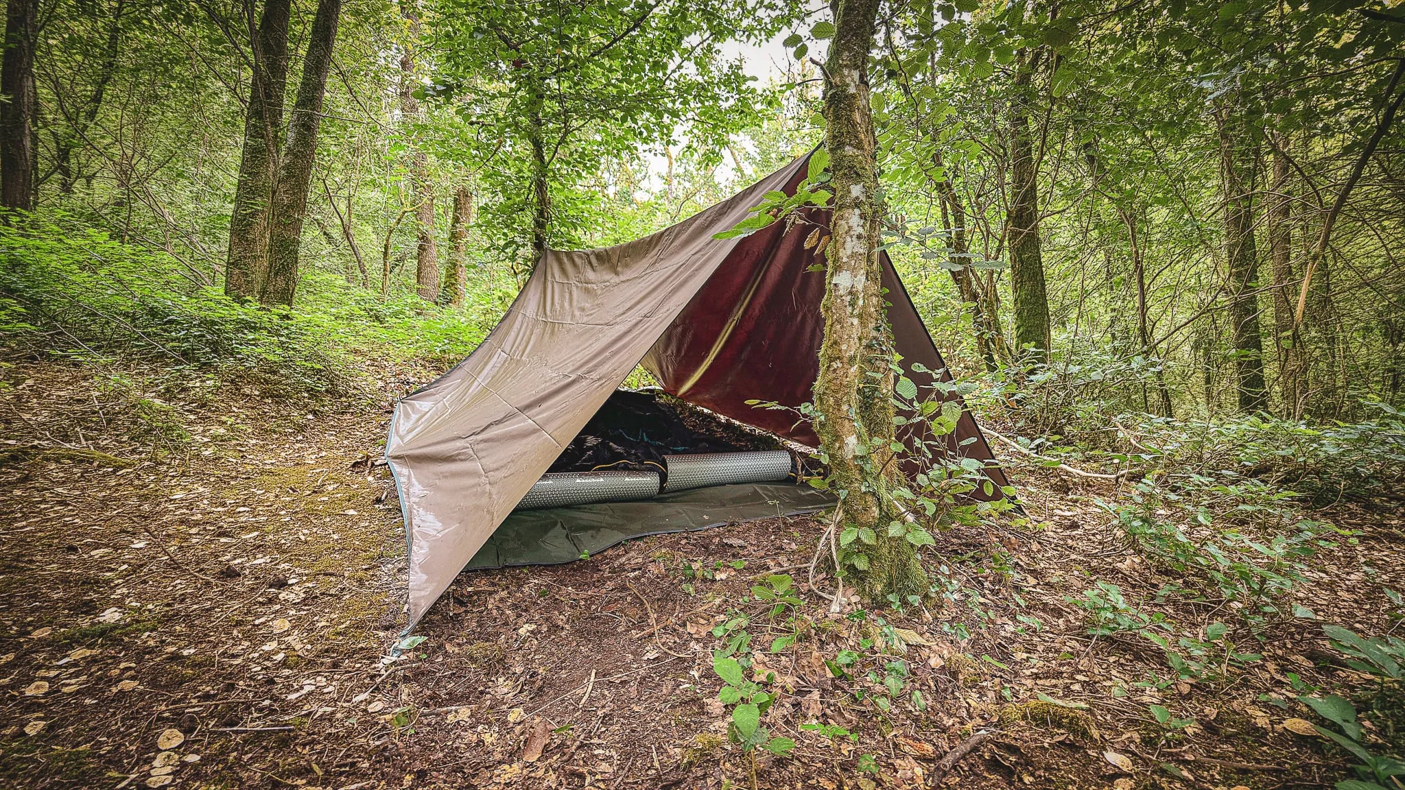 Tente de survie au cœur d'une forêt verdoyante, invitation à l'aventure en pleine nature.