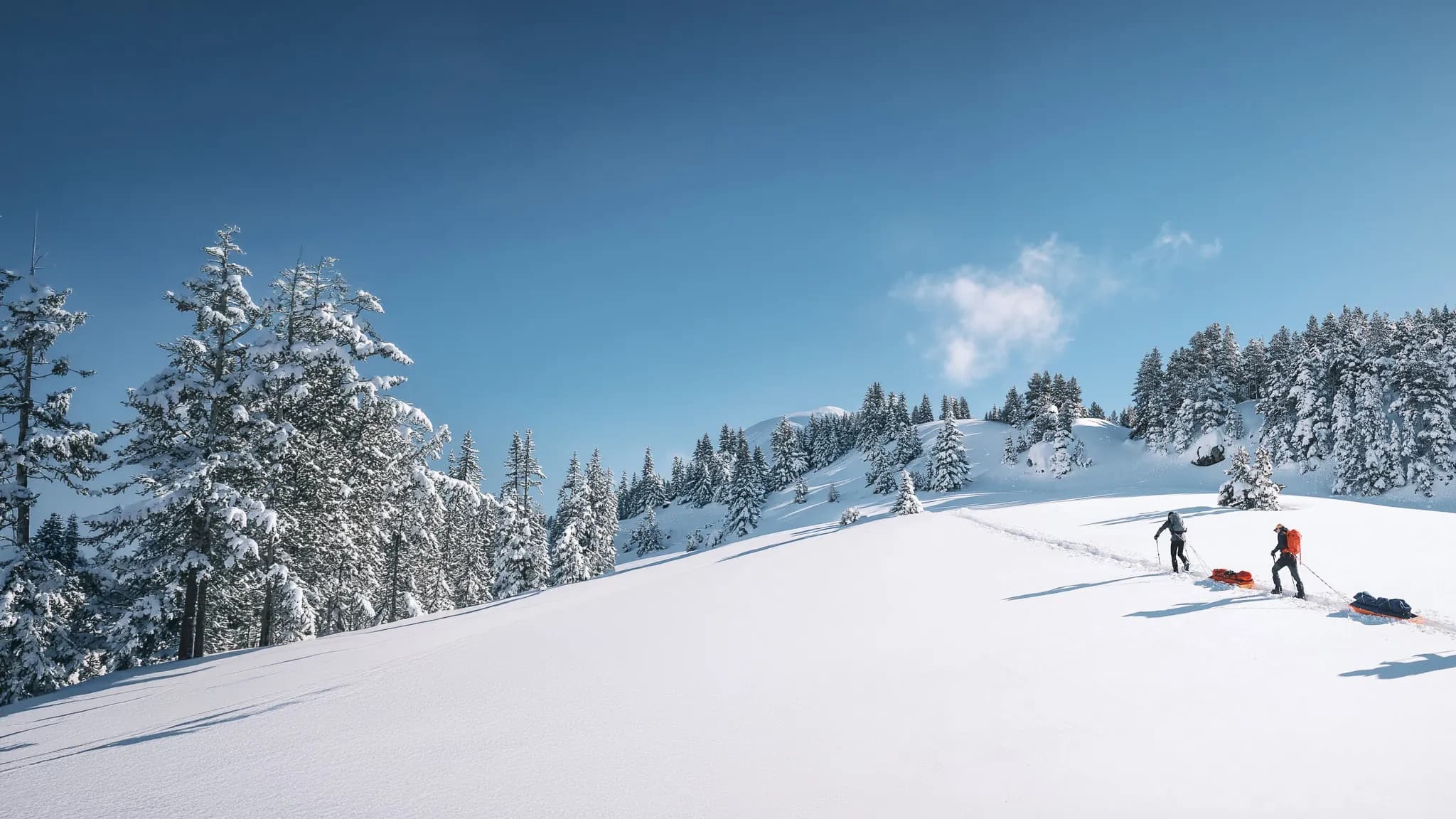 Deux personnes en raquettes tirent des pulkas sur un paysage enneigé du Vercors sous un ciel bleu.