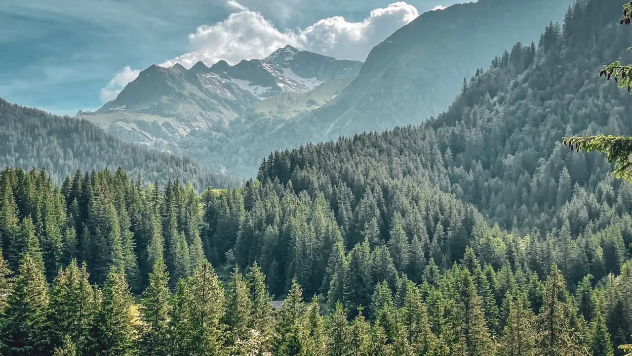 Majestic mountains, lush green forests and blue skies: an enchanting panorama for adventure.