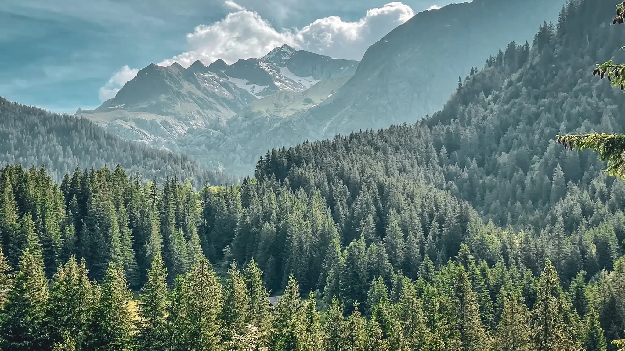 Majestic mountains, lush green forests and blue skies: an enchanting panorama for adventure.