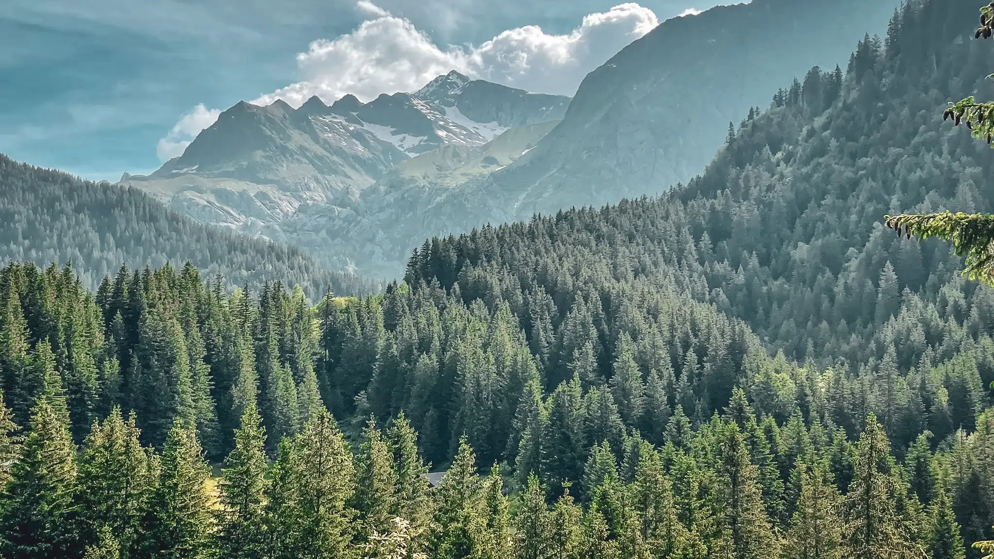 Majestic mountains, lush green forests and blue skies: an enchanting panorama for adventure.