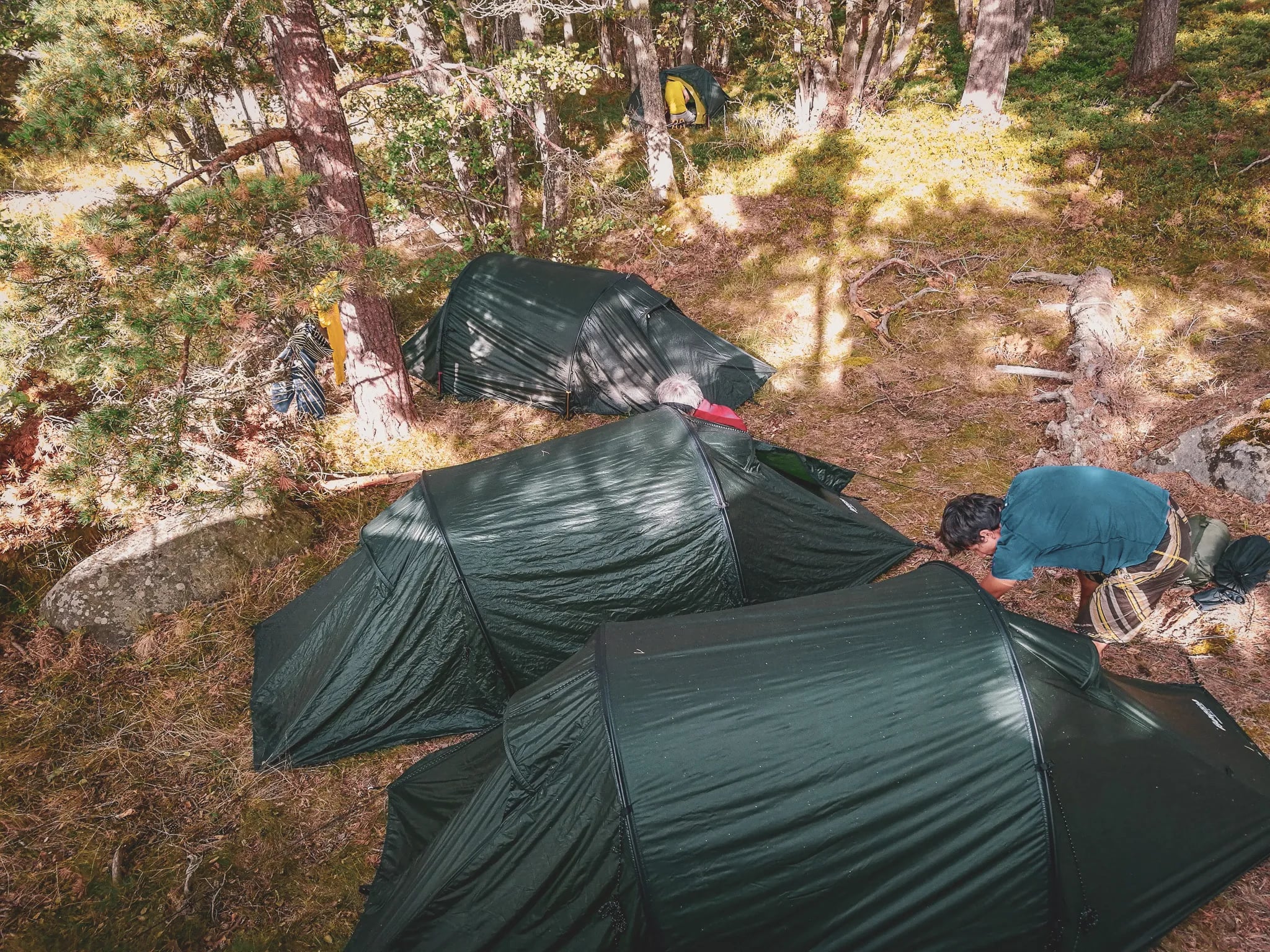 Green tents set in a peaceful forest, perfect for a bivouac in the great outdoors.
