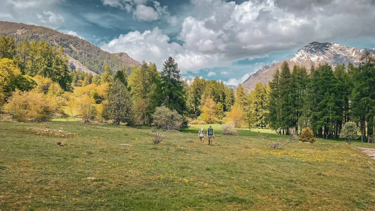 Panoramic view of the Écrins mountains, with green meadows and cloudy skies.