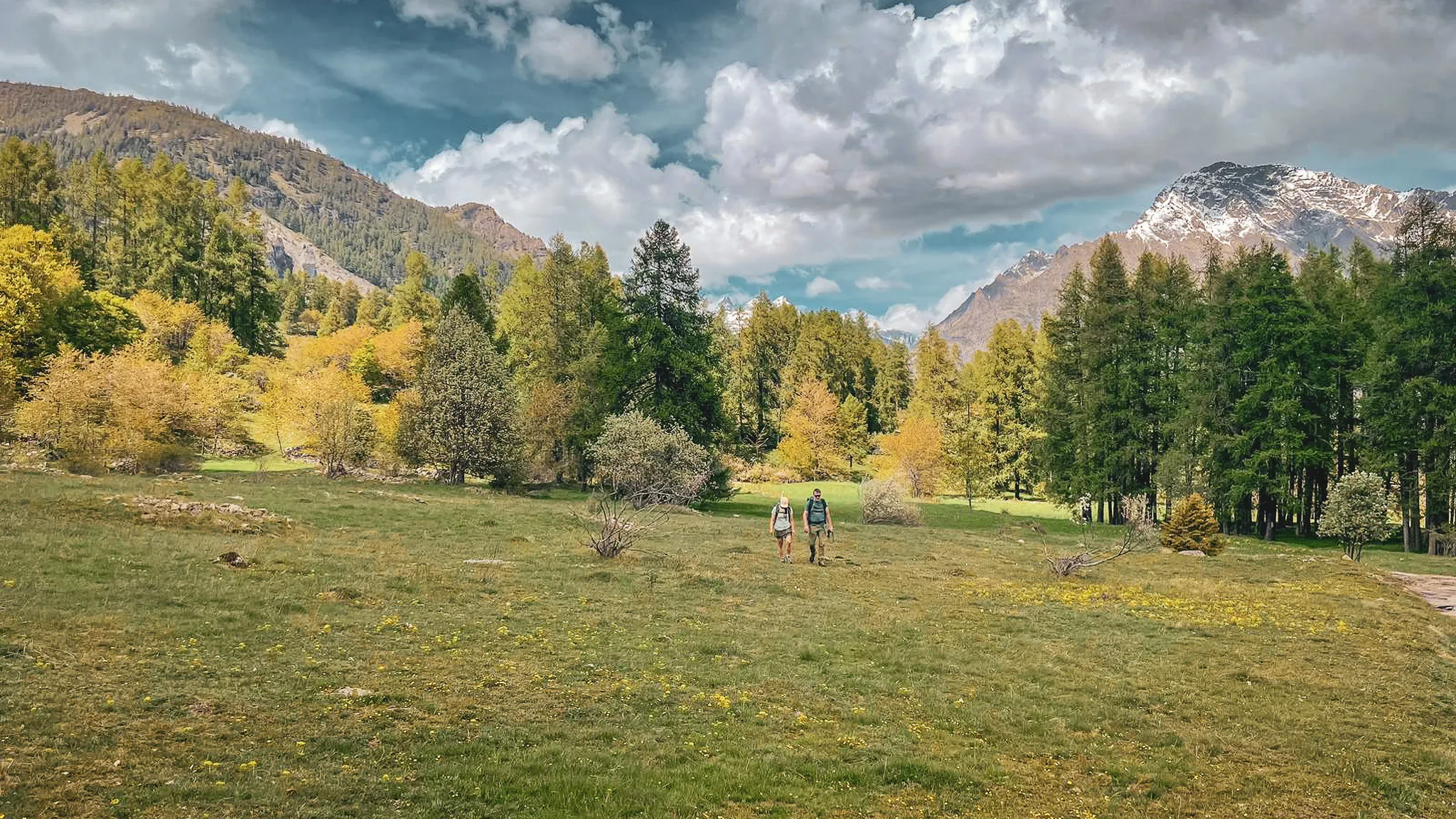 Vue panoramique sur les montagnes des Écrins, avec des prairies verdoyantes et un ciel nuageux.