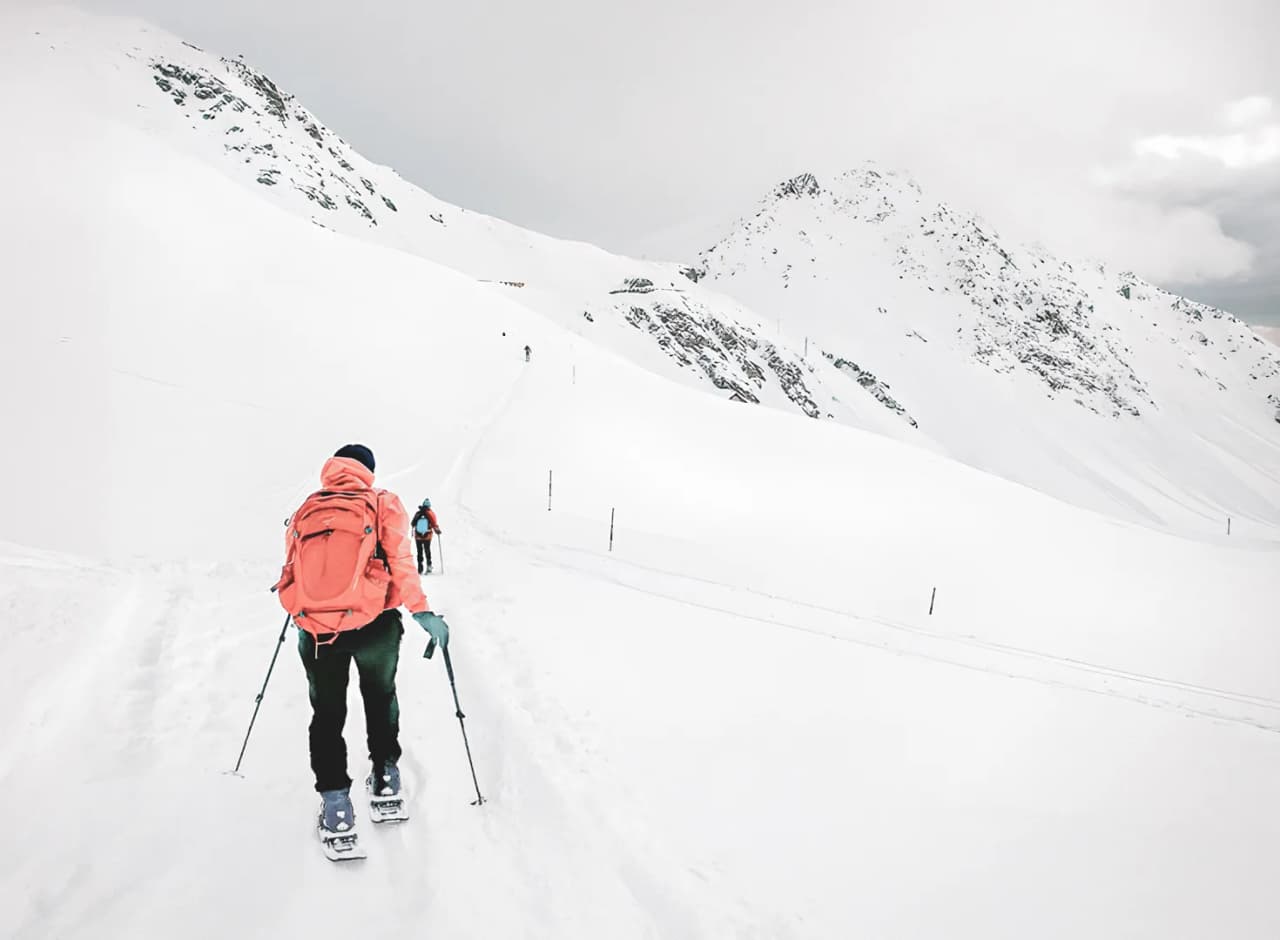 Randonneurs en raquettes progressant sur un sentier enneigé au col du Grand-Saint-Bernard.