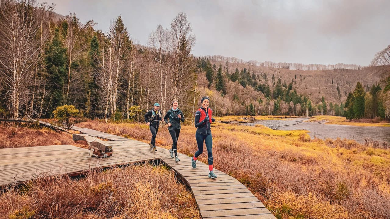 Trois coureuses sur un sentier en bois, entourées de nature, dans les Vosges, prêtes pour l'aventure.