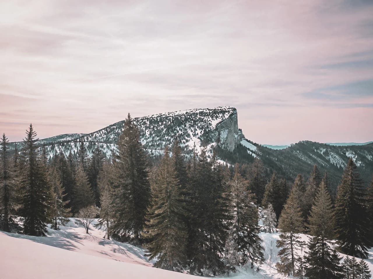 Een majestueuze berg onder een heldere hemel, omringd door besneeuwde dennenbomen, die uitnodigt tot een uitstapje.