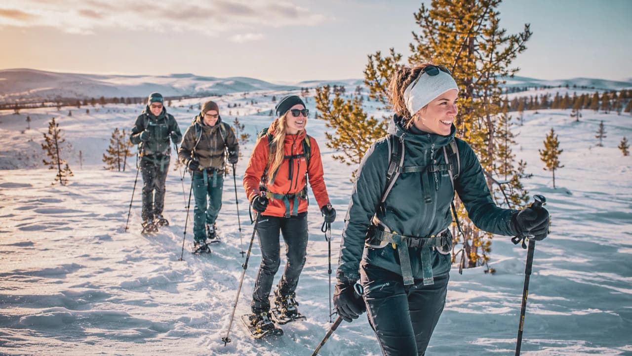 A group of snowshoe explorers in a snow-covered landscape in Swedish Lapland, teeming with life.
