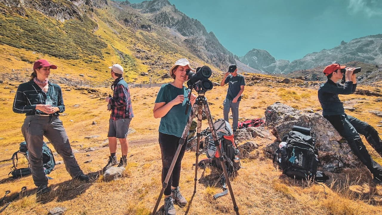 Een groep wandelaars die de fauna in de Hautes-Pyrénées observeert, adembenemende landschappen.