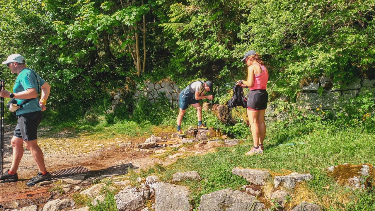 Randonneurs en pleine nature dans les Vosges, entre verdure et rochers, prêts pour l'aventure.
