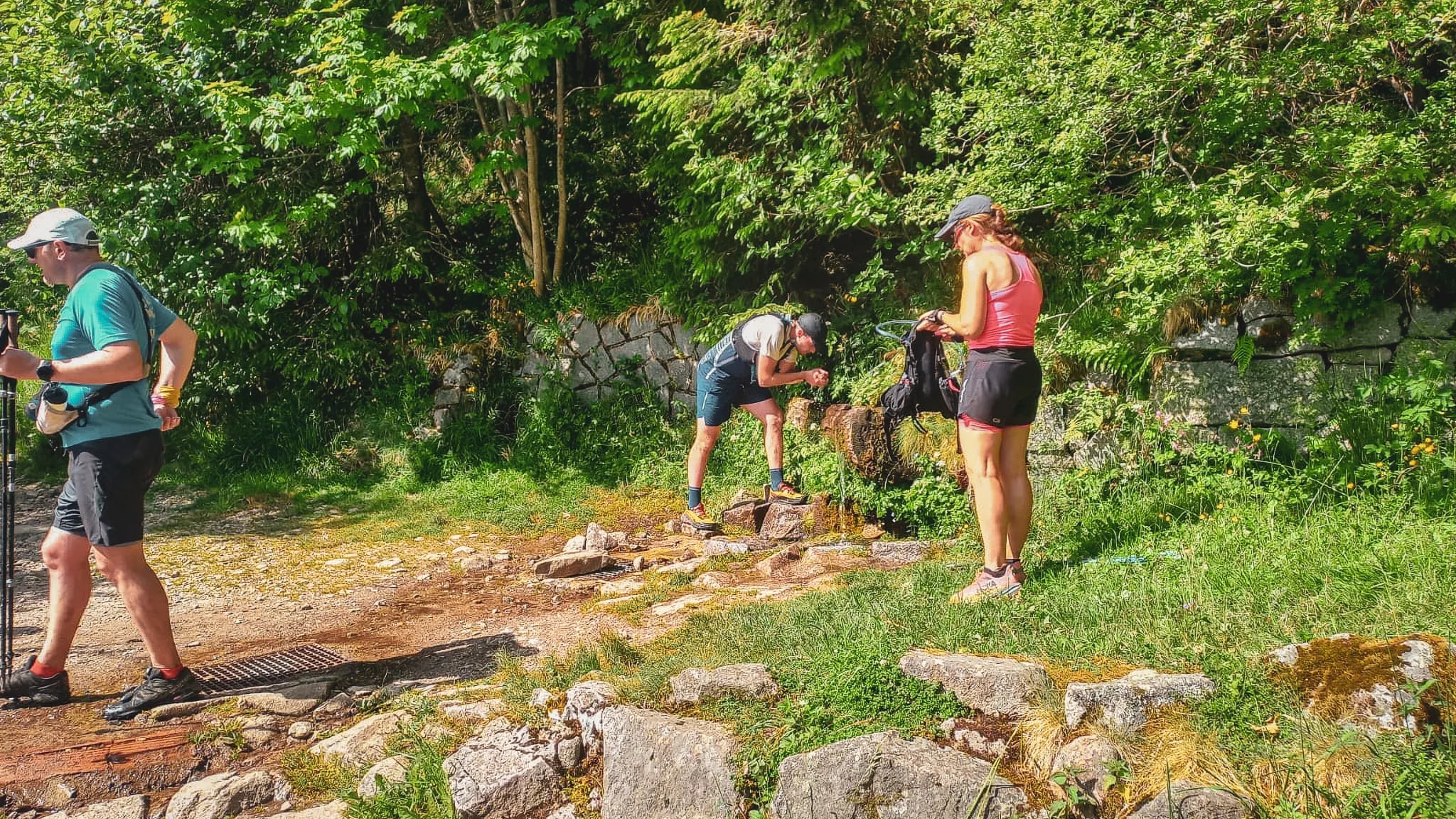 Randonneurs en pleine nature dans les Vosges, entre verdure et rochers, prêts pour l'aventure.