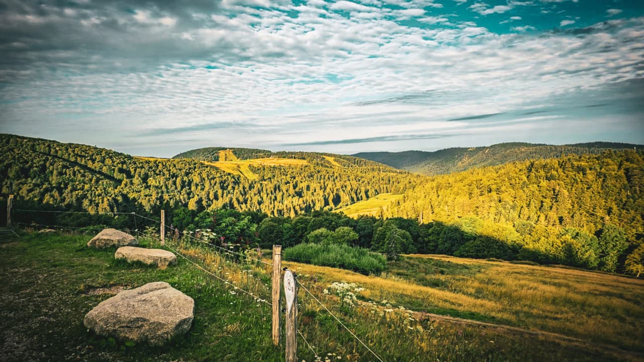 Panoramic views of the Vosges, lush greenery under cloudy skies, an invitation to hike and escape.