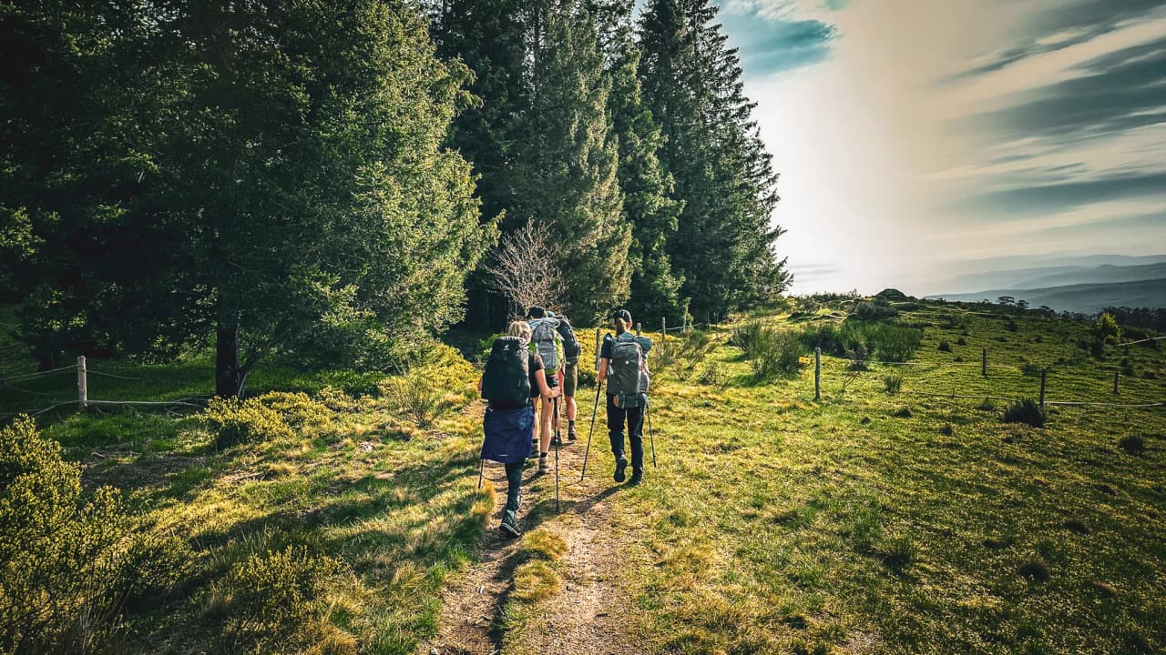 A group of hikers walking along a green path in the heart of nature, under a bright sky.
