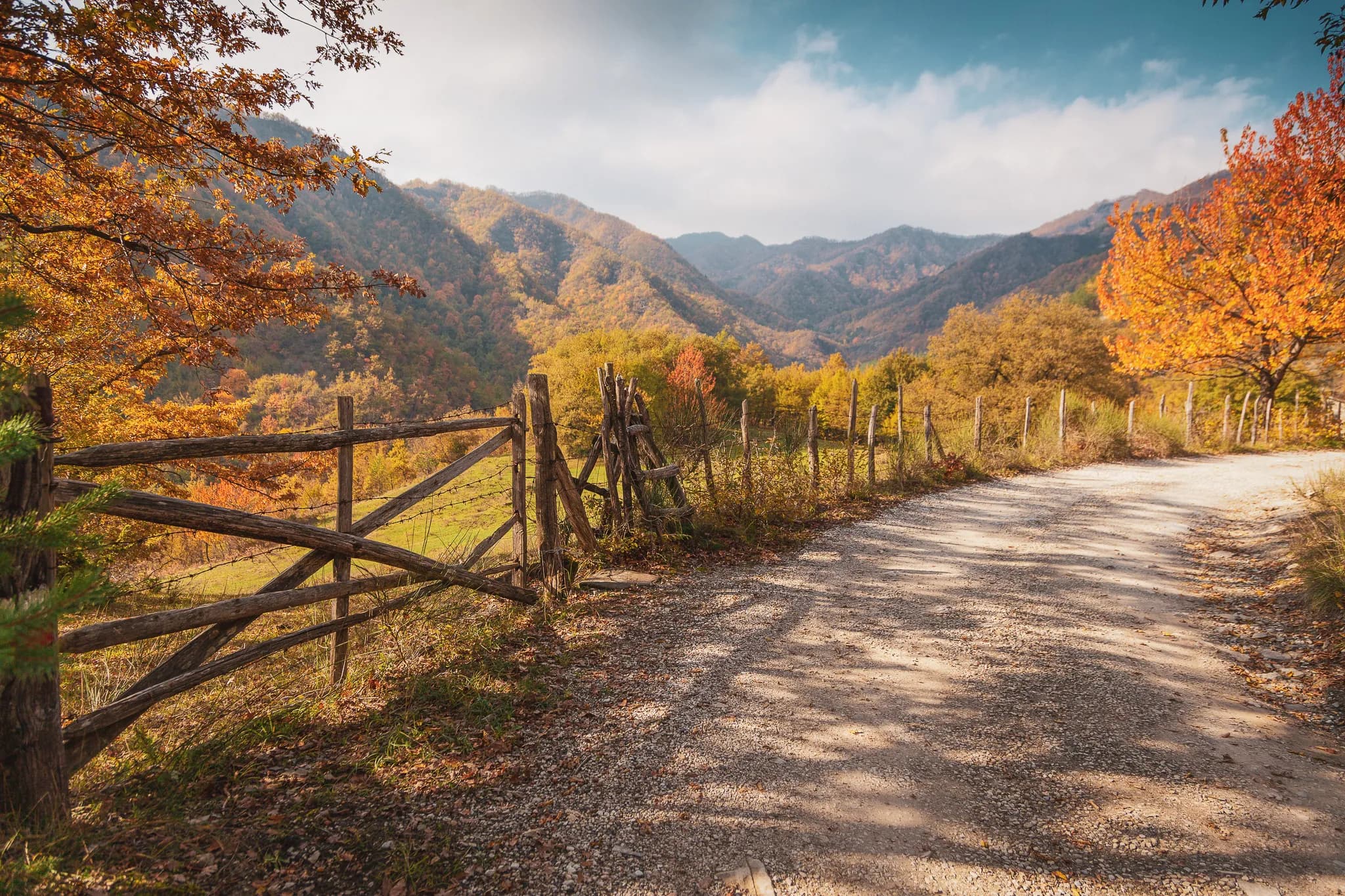 Un chemin de gravier serpente à travers un paysage automnal, bordé de clôtures en bois rustic et de feuillages aux couleurs vives.