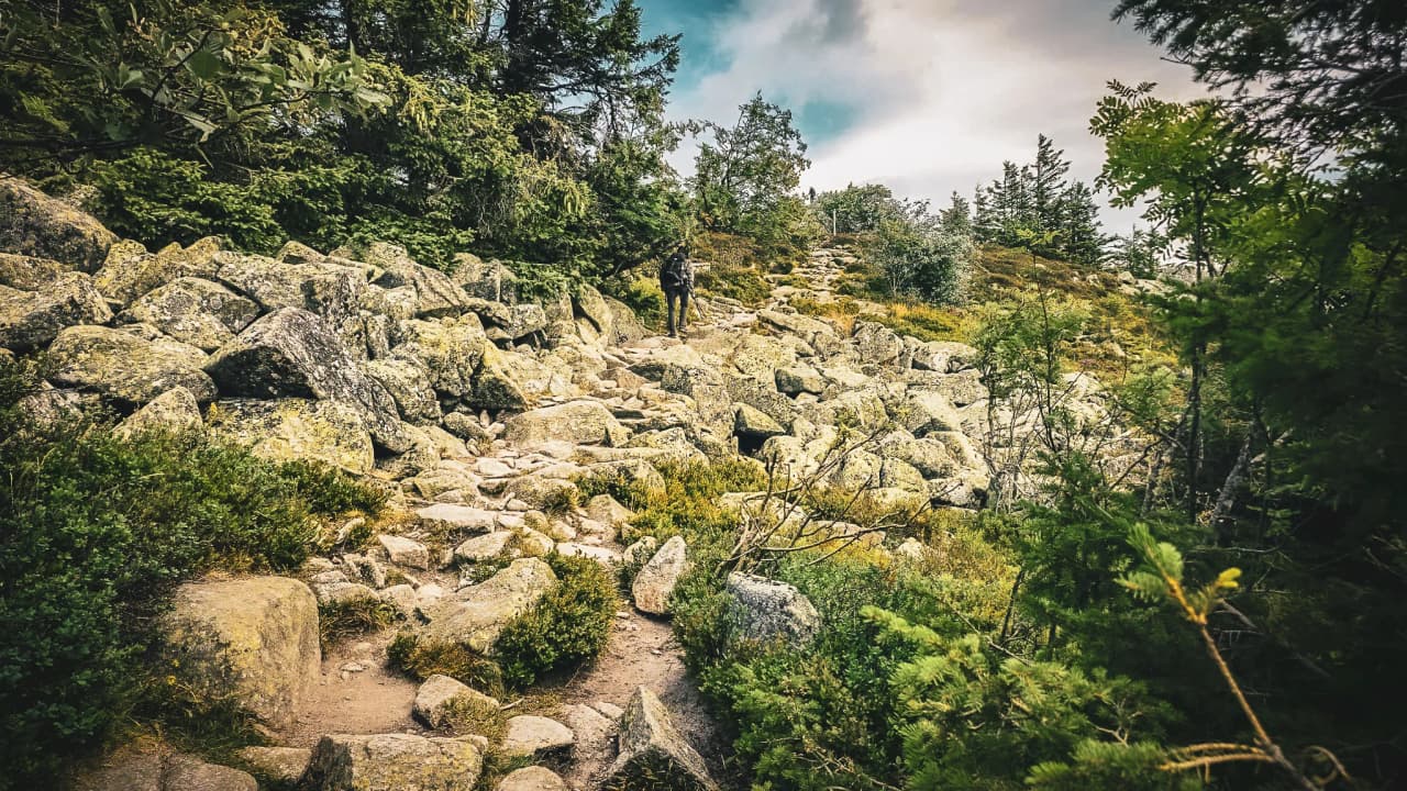 A rocky path through the Vosges mountains, ideal for hiking and stargazing.