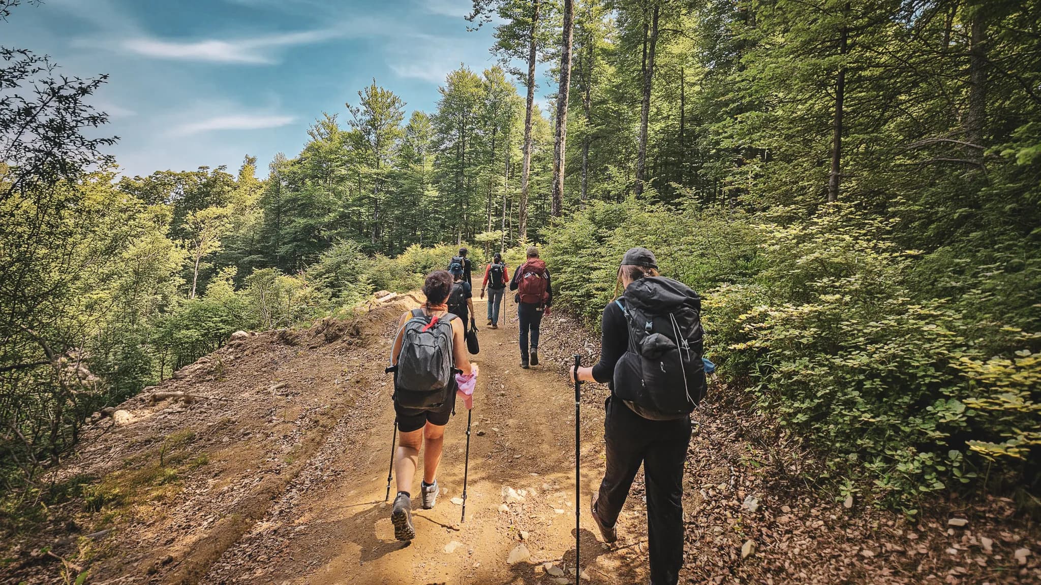 Cinq randonneurs sur un sentier verdoyant des Vosges, entourés de panoramas majestueux.