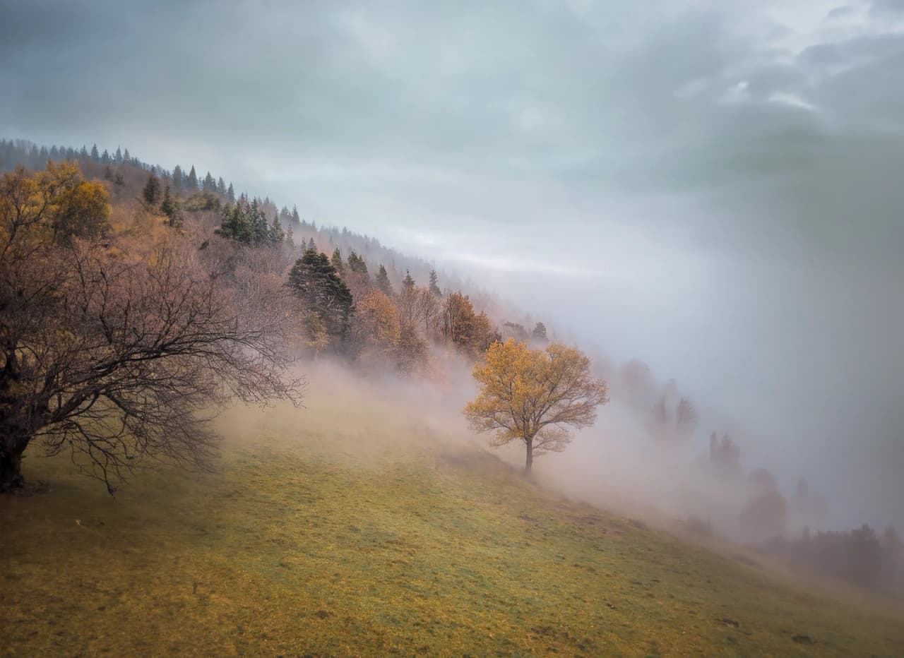 Brume enchantée sur les collines vosgiennes, un paysage automnal à explorer.