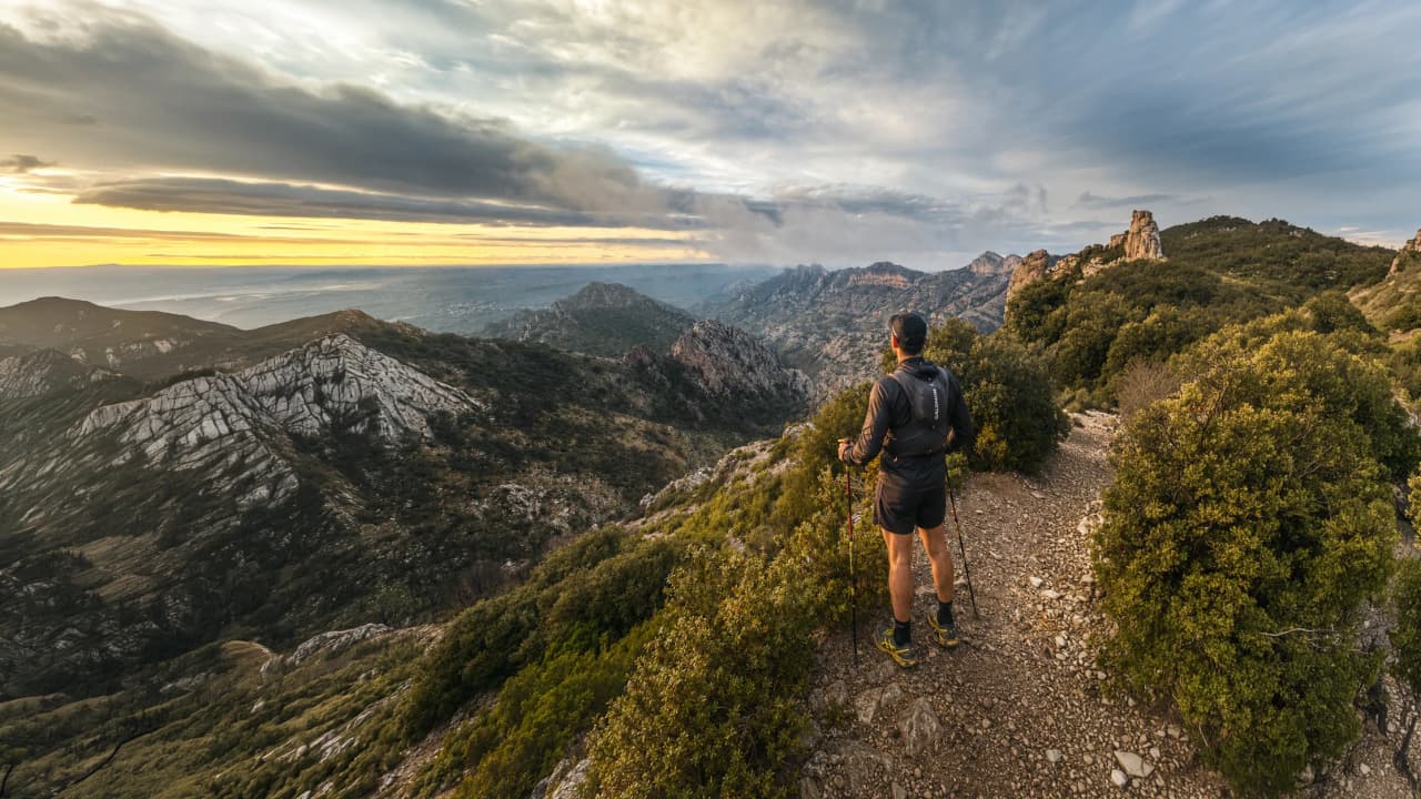 Trois coureurs sur un chemin en pierre, entouré de collines verdoyantes au Ventoux.
