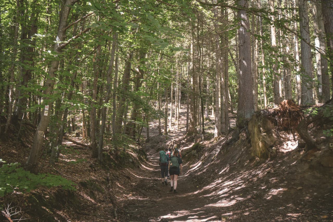 Hikers walk along a shady path in Luxembourg's Little Switzerland, surrounded by trees.