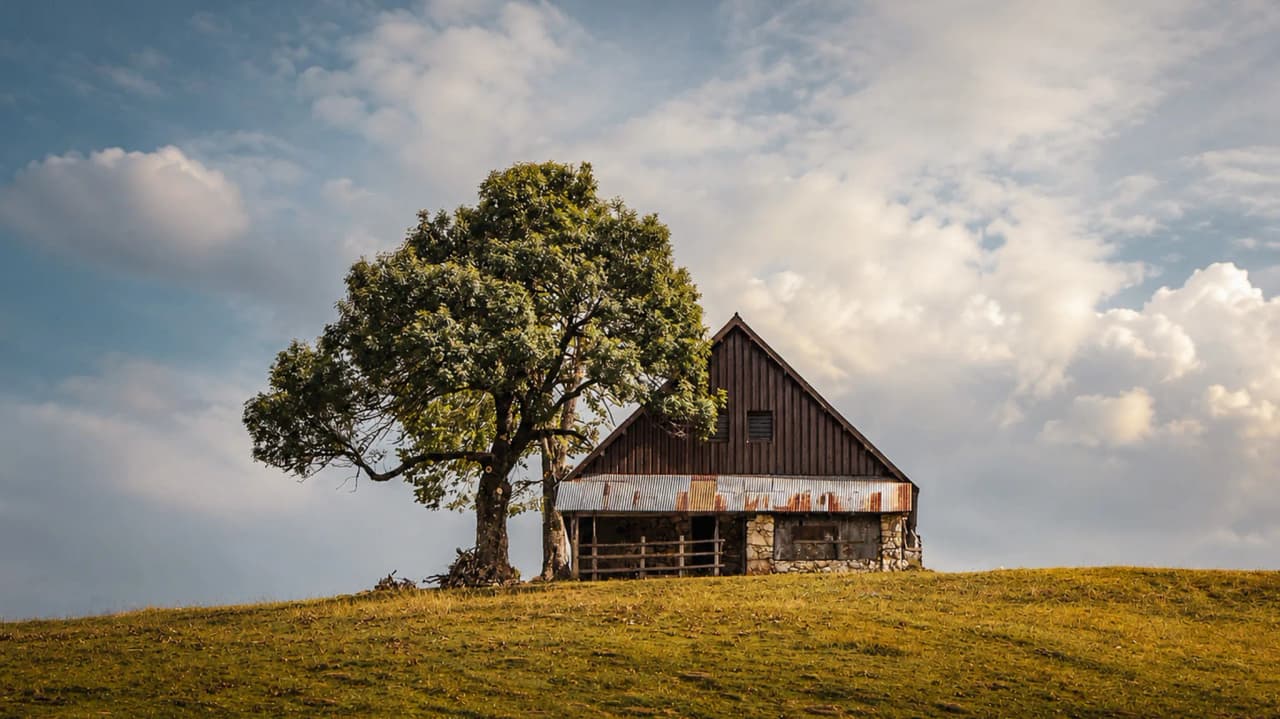 Charmante cabane en bois sous un arbre, surplombant un paysage pittoresque. Idéal pour l'évasion.