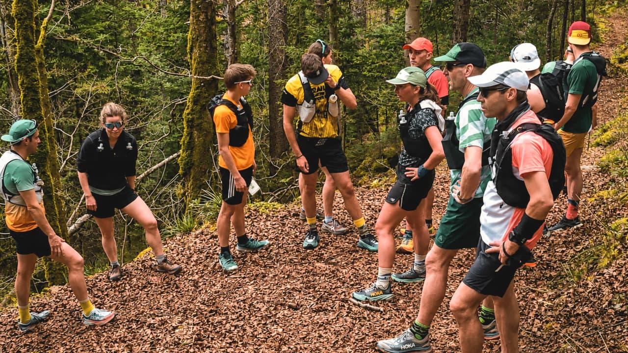 A group of runners in the great outdoors, exchanging advice on a forest trail in the Jura.