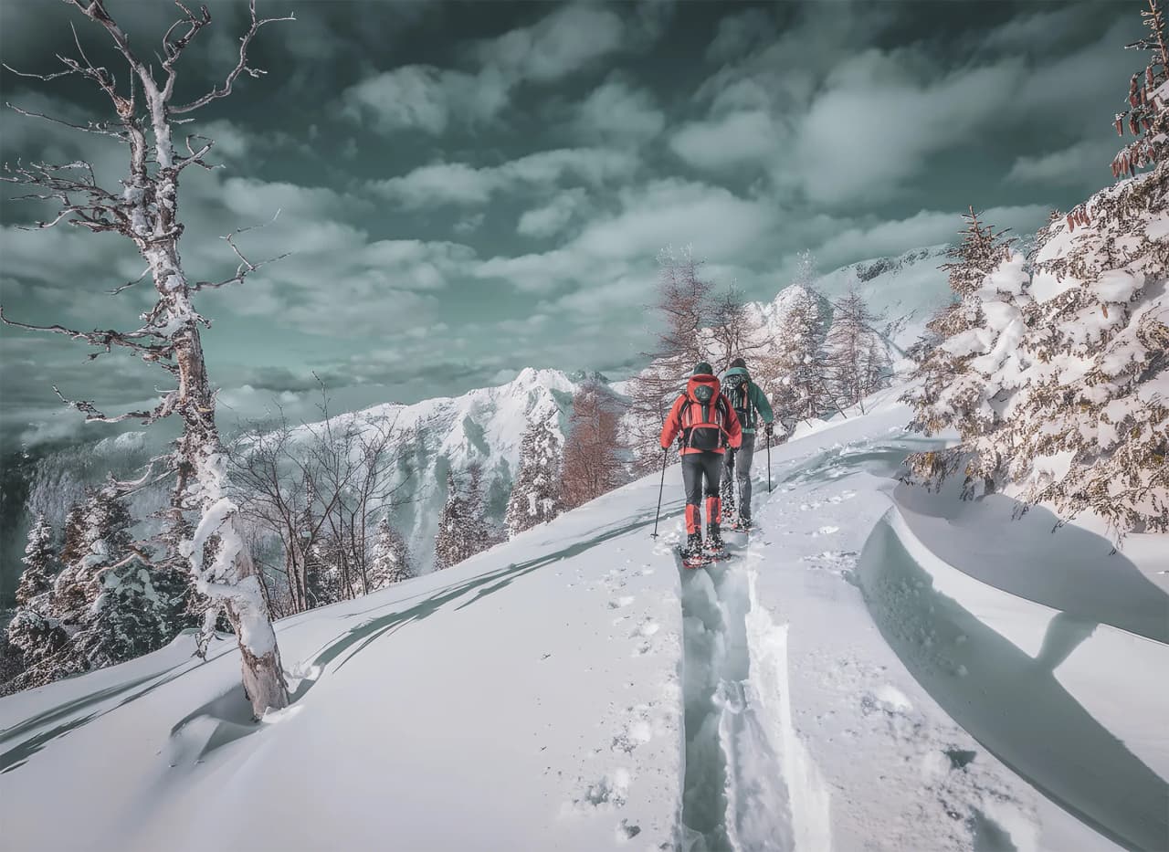 Des randonneurs en raquettes avancent dans un paysage alpin enneigé, entre forêts et montagnes majestueuses.