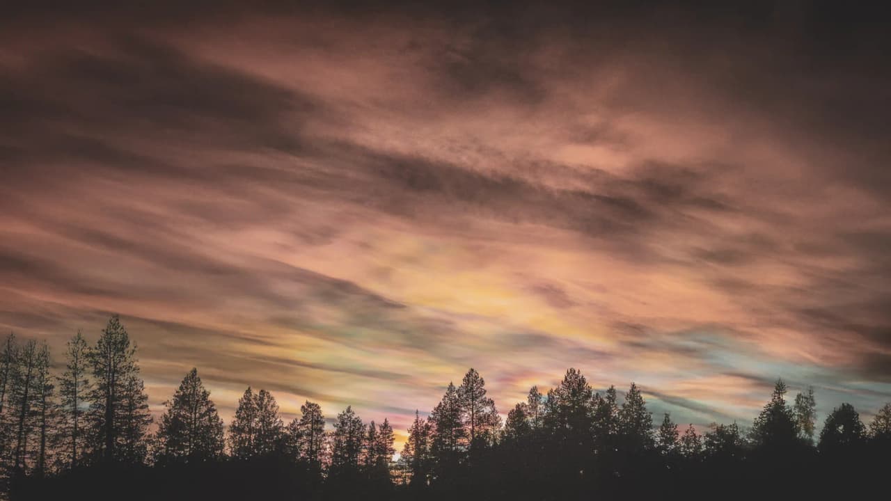 Coucher de soleil coloré derrière des silhouettes d'arbres en Laponie, invitant à l'aventure.