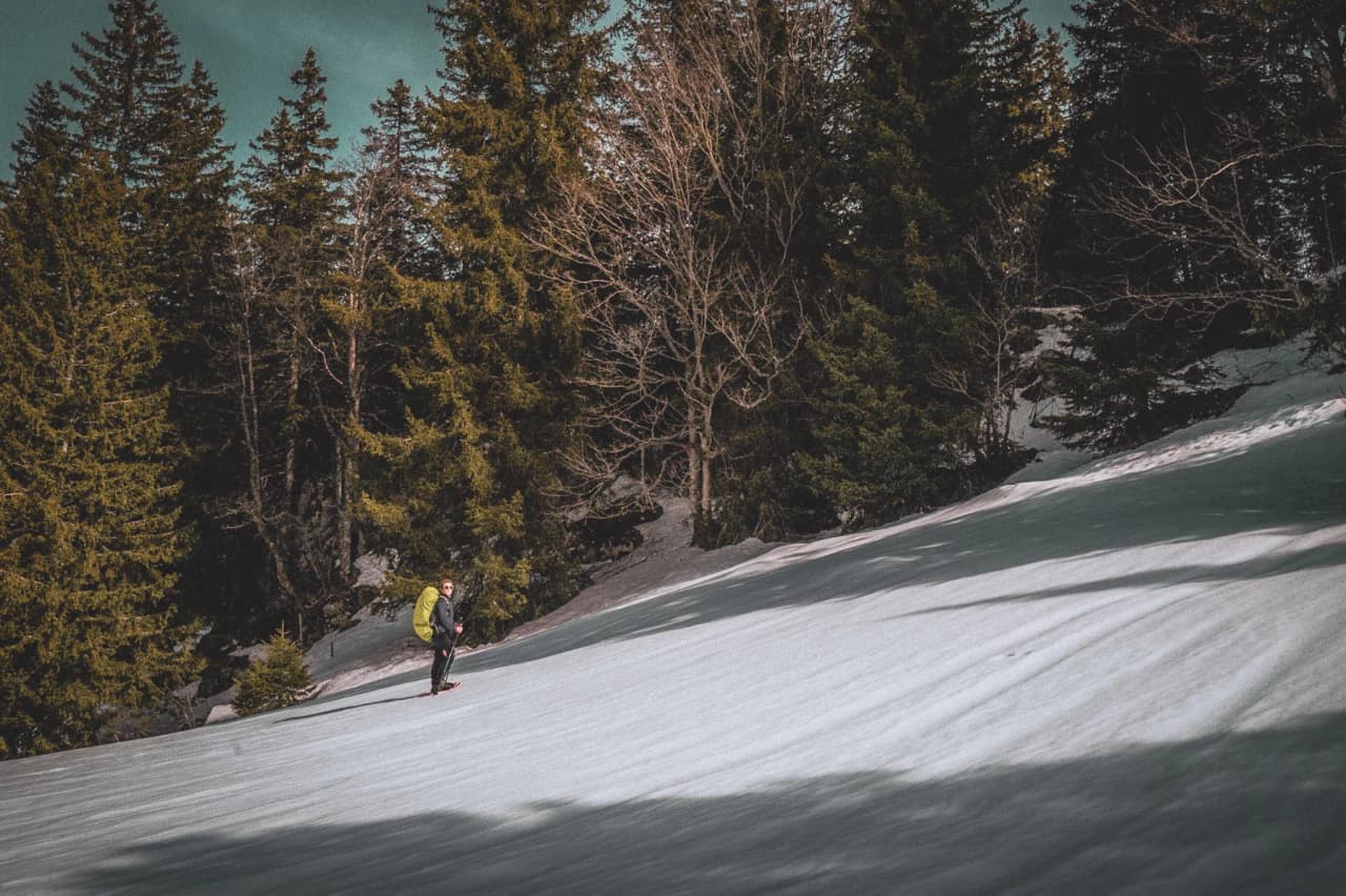Snowshoe trekking on a snow-covered plateau, surrounded by majestic green fir trees.