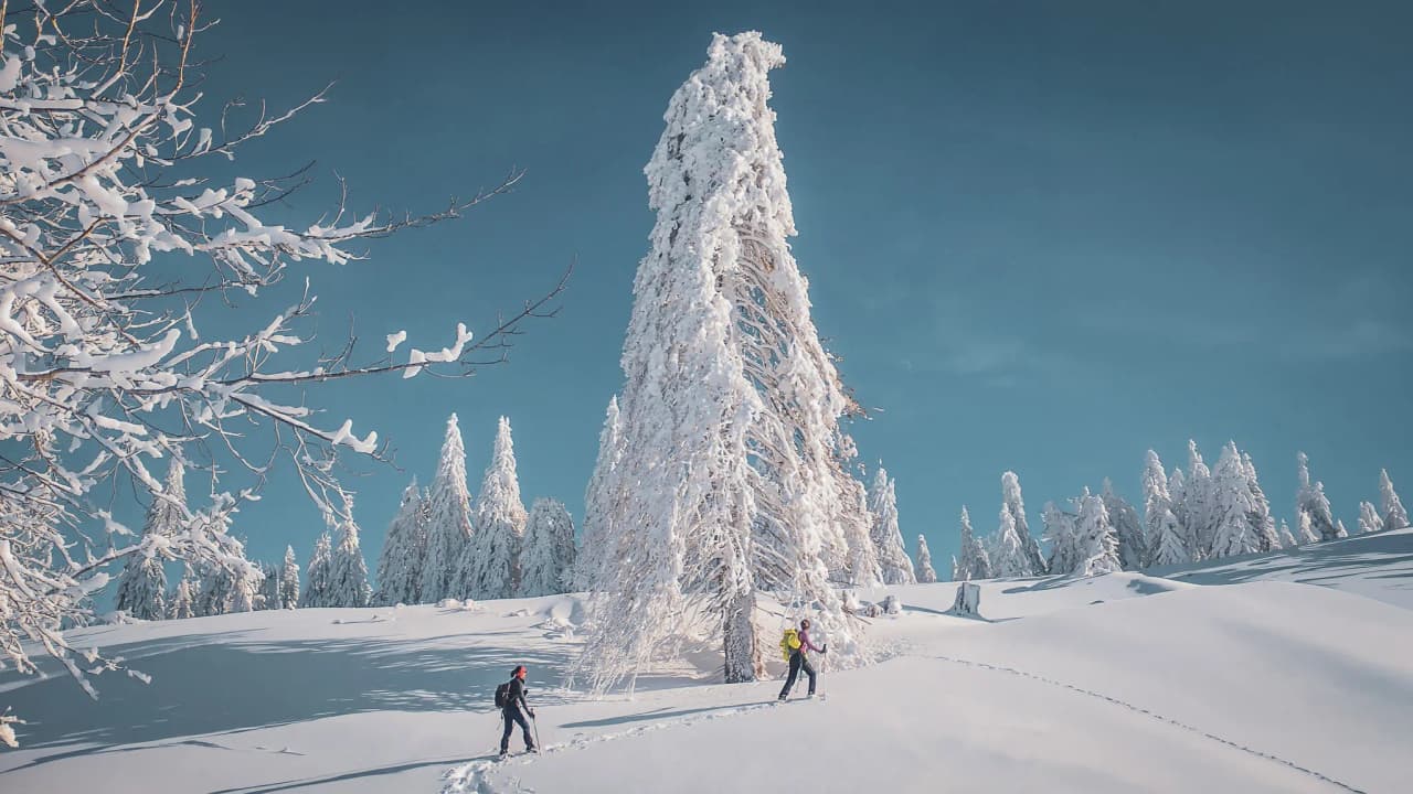 Des randonneuses en raquettes avancent dans un paysage enneigé magnifique, sous un ciel bleu.