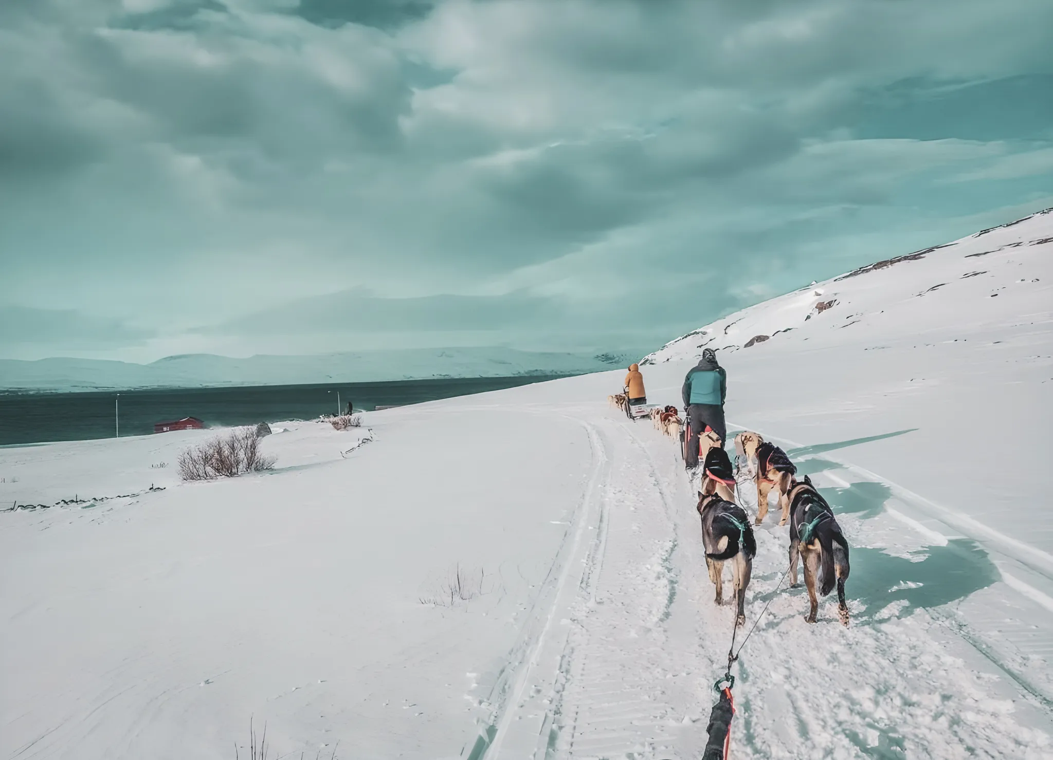 A winter expedition to Lapland, husky teams on the snow, breathtaking scenery.