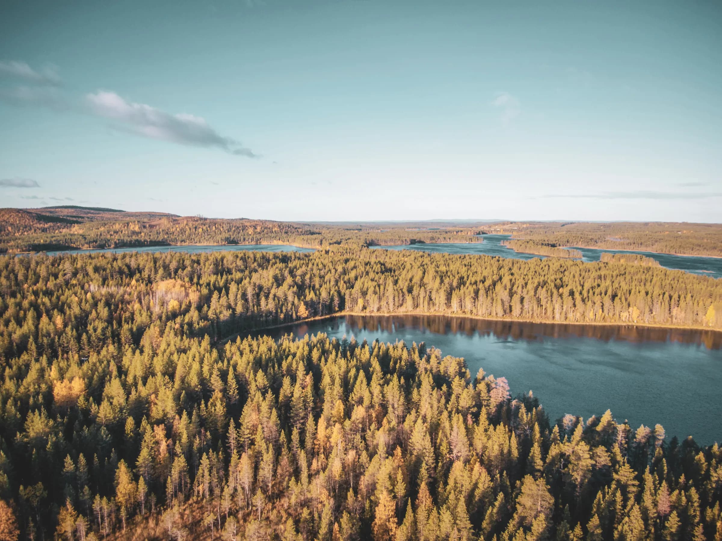 A breathtaking panorama of the rivers and forests of Oulanka, an invitation to adventure in the heart of nature.