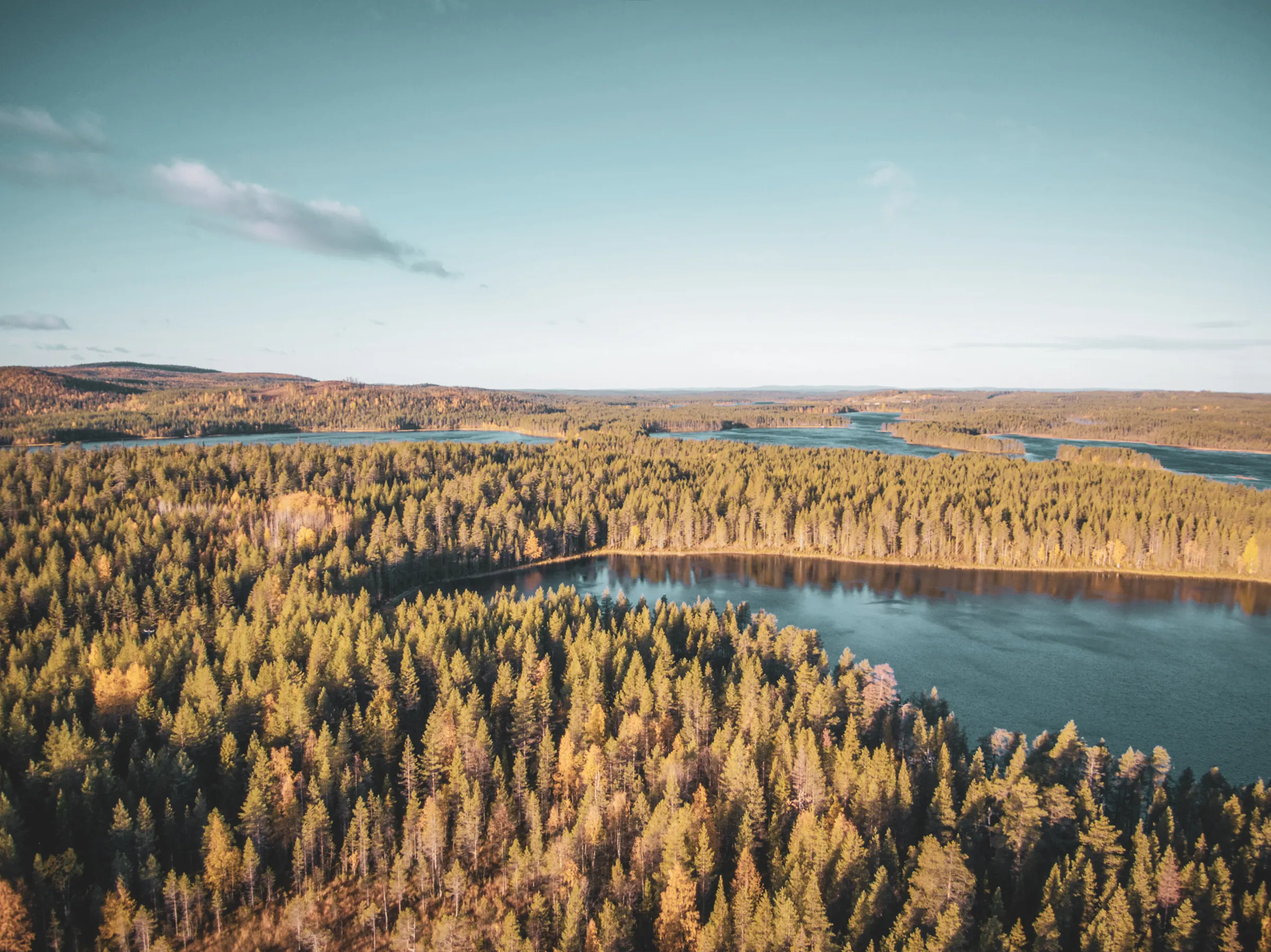 A breathtaking panorama of the rivers and forests of Oulanka, an invitation to adventure in the heart of nature.